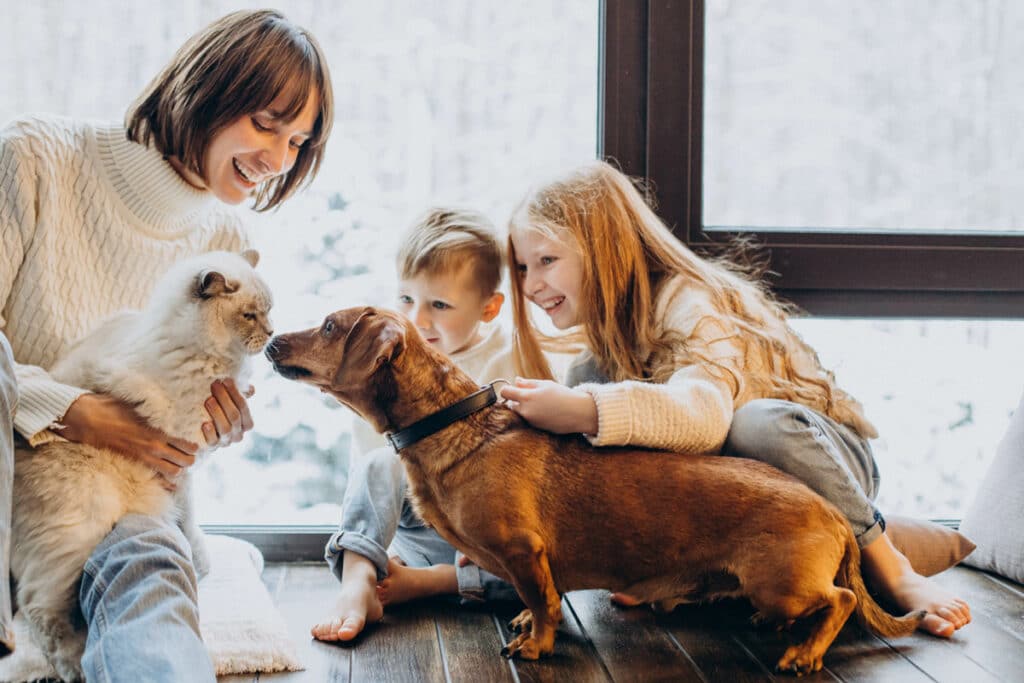 Home Loans
